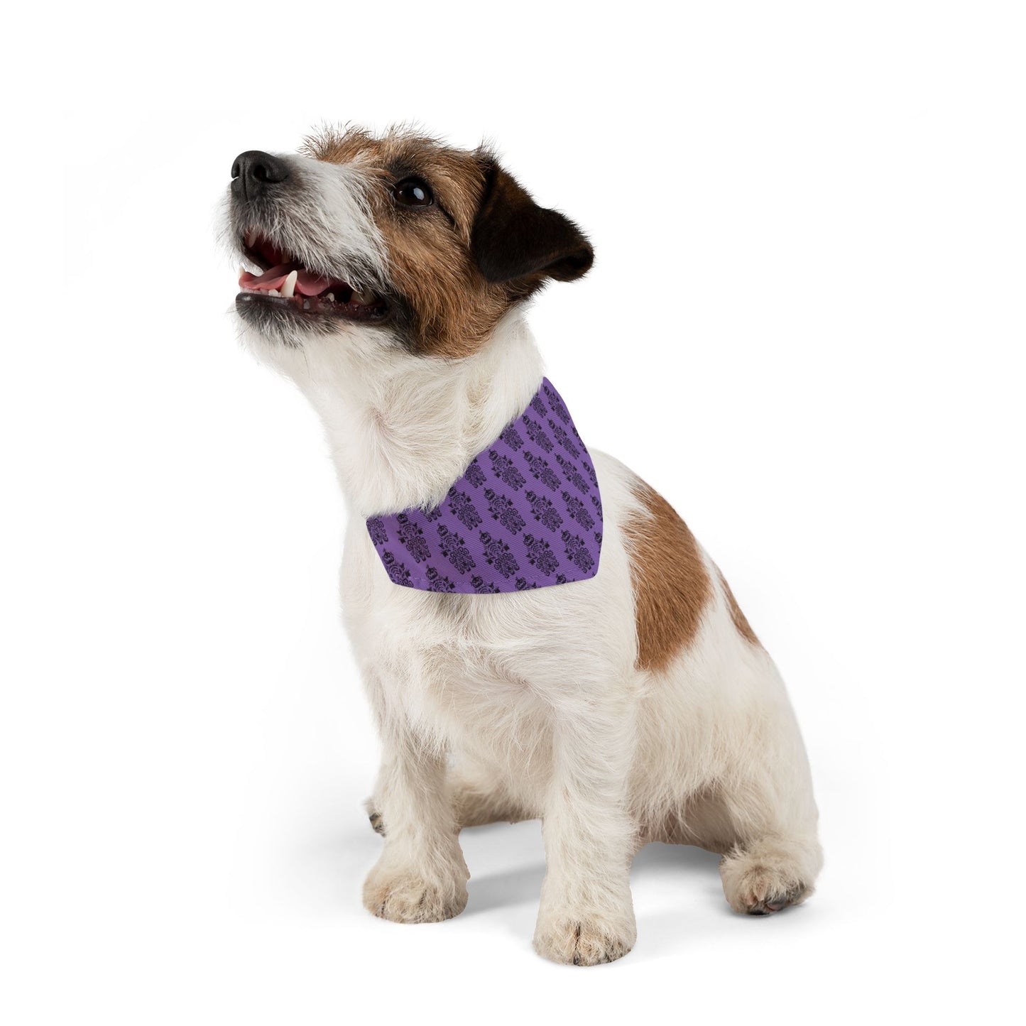 BORAH!'s Haunted Mansion Pet Bandana (Purple/Pattern)