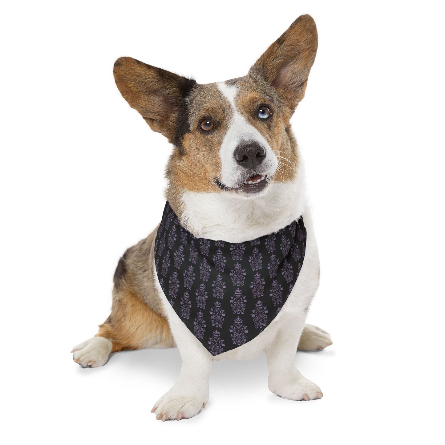 BORAH!'s Haunted Mansion Pet Bandana (Black/Pattern)