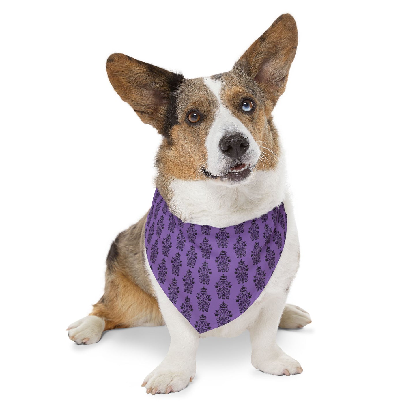 BORAH!'s Haunted Mansion Pet Bandana (Purple/Pattern)