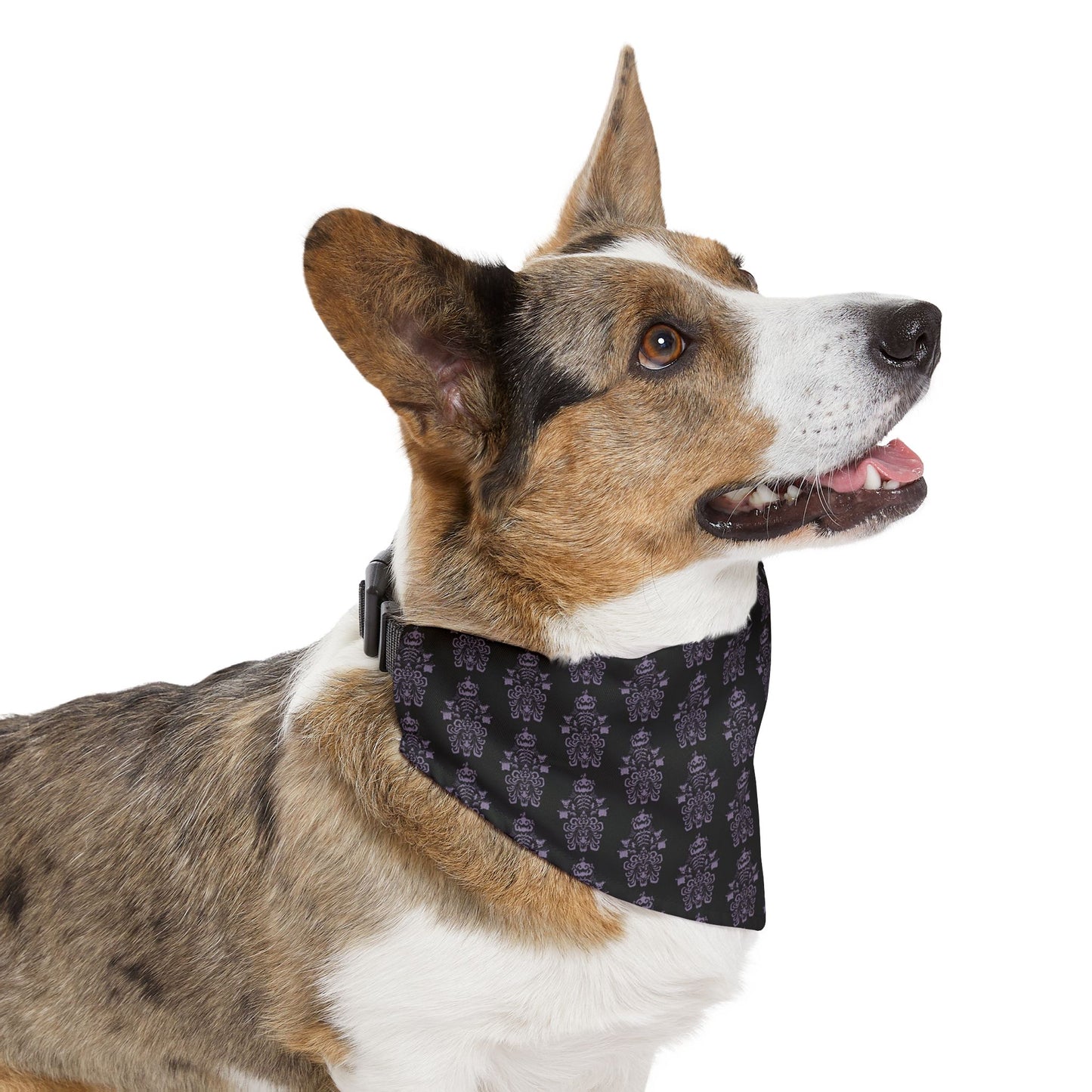 BORAH!'s Haunted Mansion Pet Bandana (Black/Pattern)