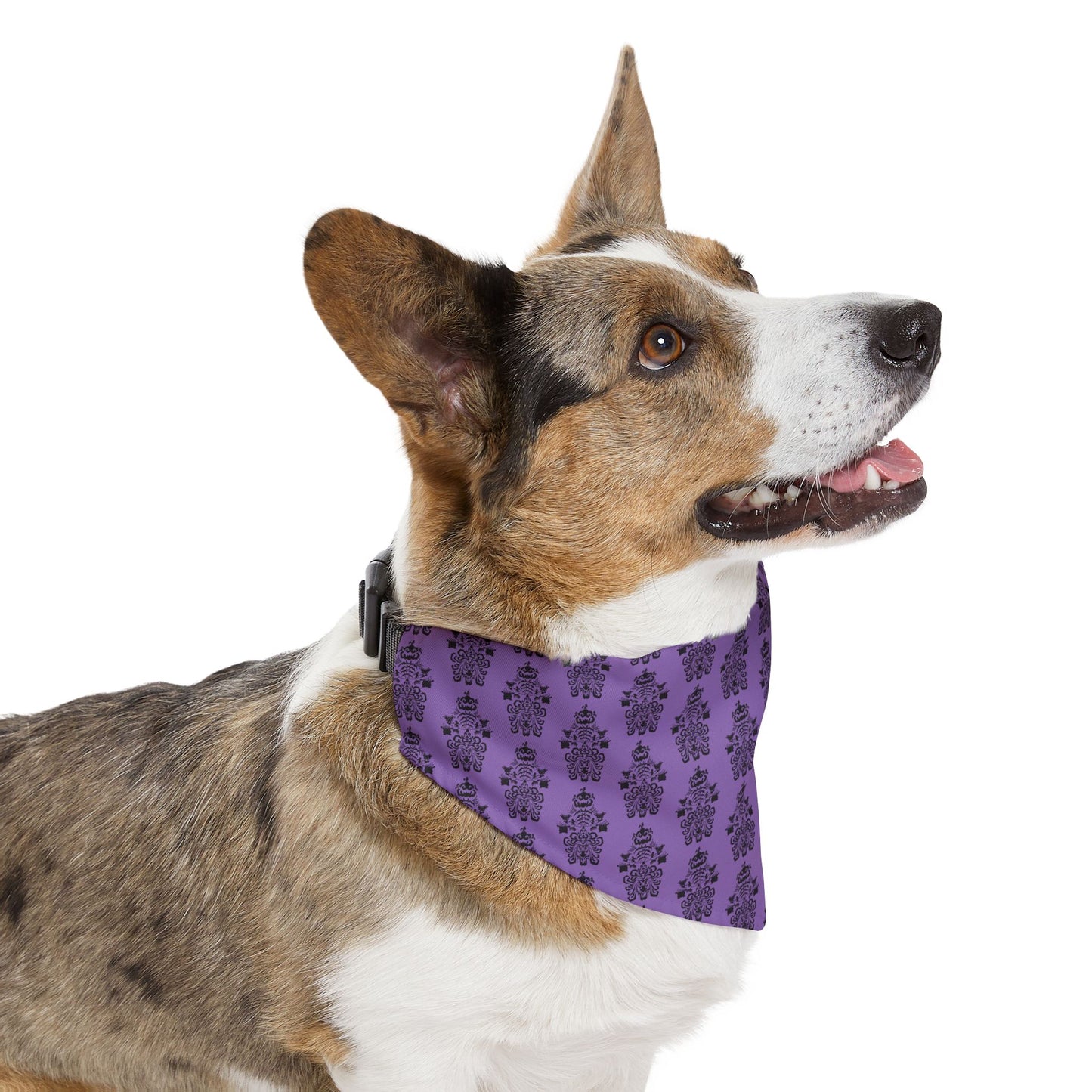 BORAH!'s Haunted Mansion Pet Bandana (Purple/Pattern)